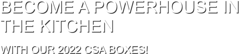 Become a Powerhouse in the Kitchen with our 2022 CSA Boxes!