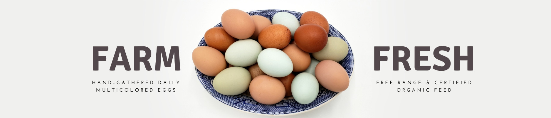 A bowl of multicolor chicken eggs