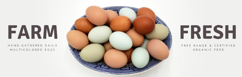 A bowl of multicolor chicken eggs