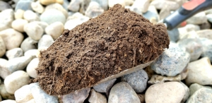 Healthy Soil, Healthy Food: A Study