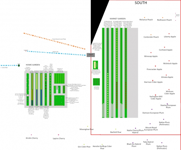 The 2021 Tosche Home Garden Plan